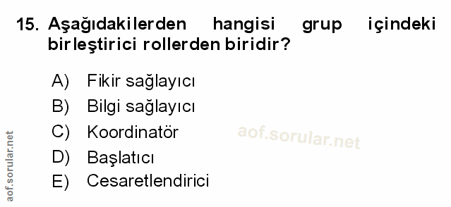 Soru 15