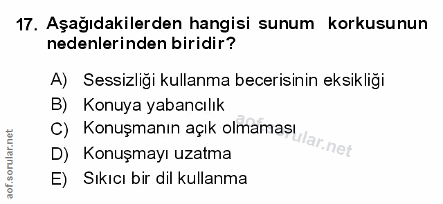 Soru 17