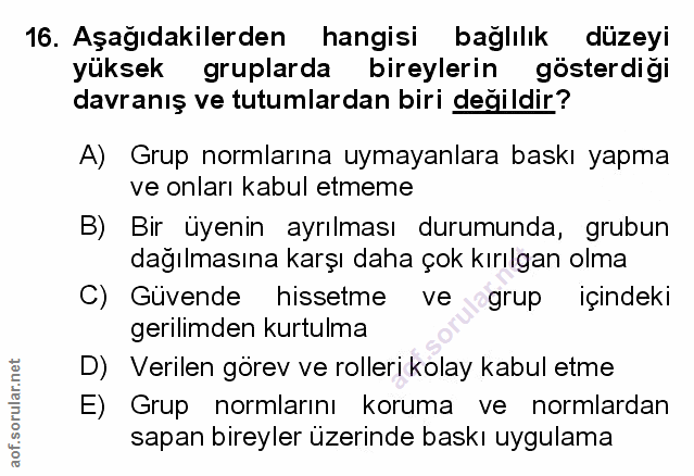 Soru 16