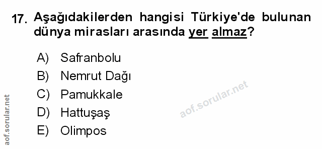 Soru 17