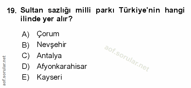 Soru 19