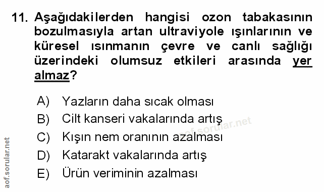 Soru 11