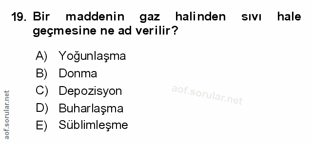 Soru 19