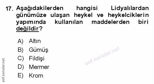 Soru 17