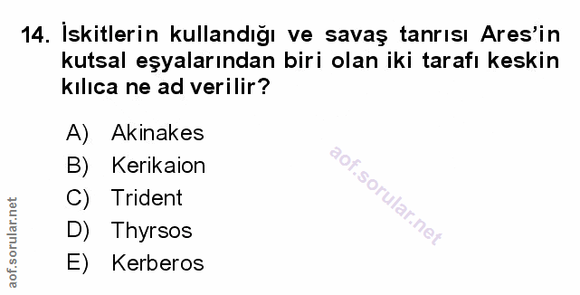Soru 14