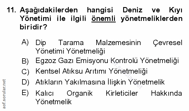 Soru 11