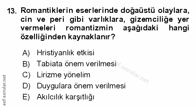Soru 13