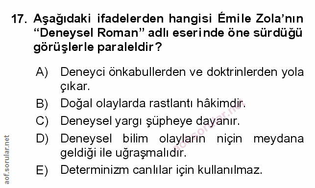 Soru 17