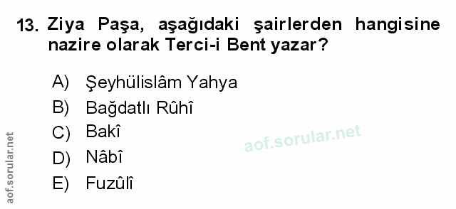 Soru 13
