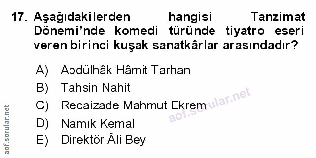 Soru 17