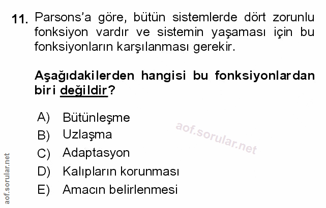 Soru 11