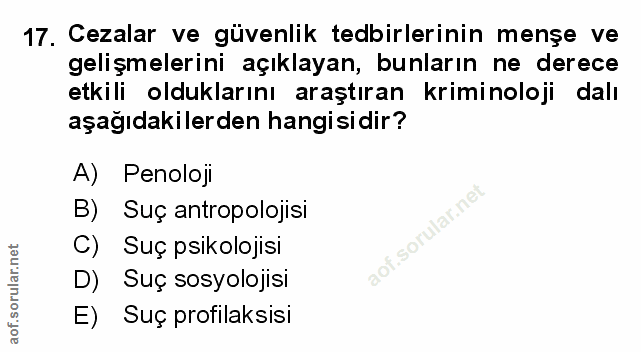 Soru 17