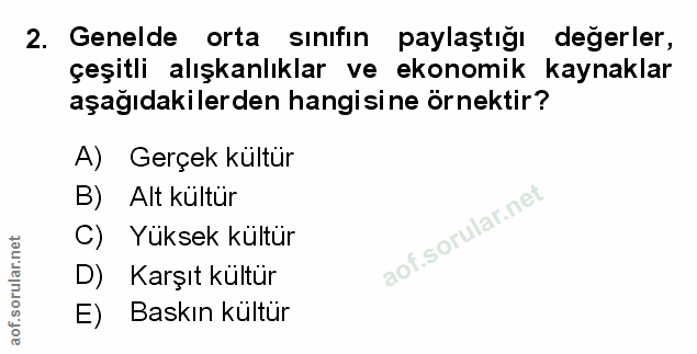 Soru 2