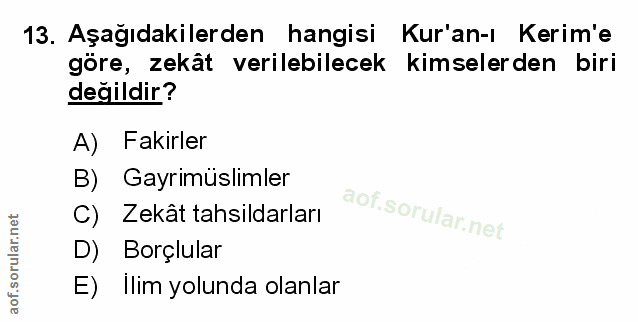 Soru 13