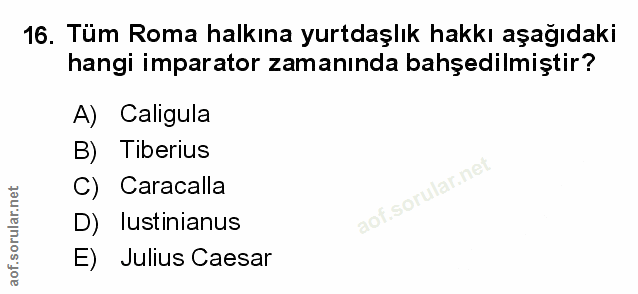 Soru 16