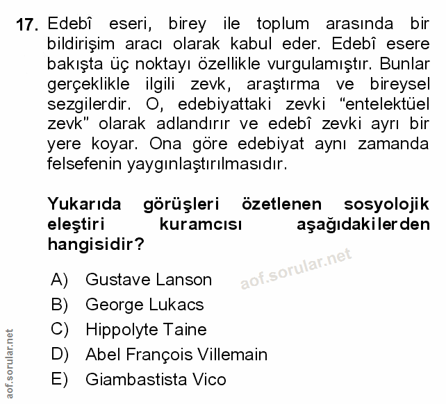 Soru 17