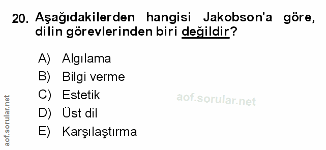 Soru 20