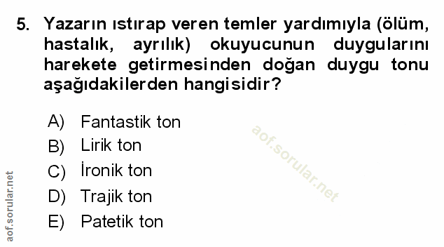 Soru 5