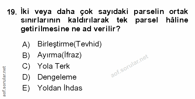 Soru 19