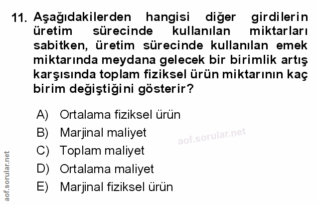 Soru 11