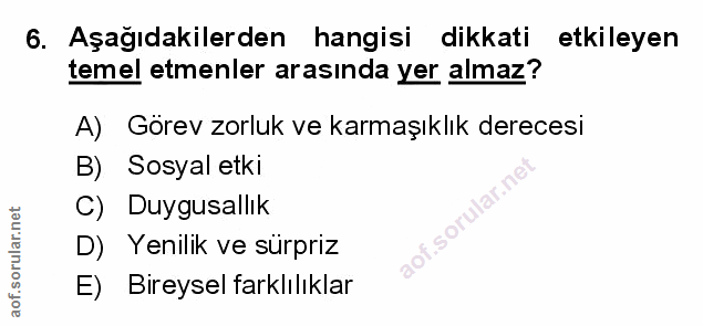 Soru 6
