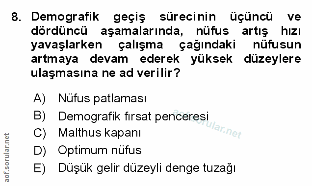 Soru 8