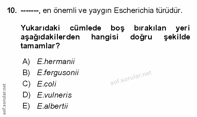 Soru 10