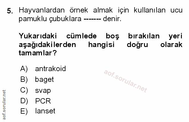 Soru 5