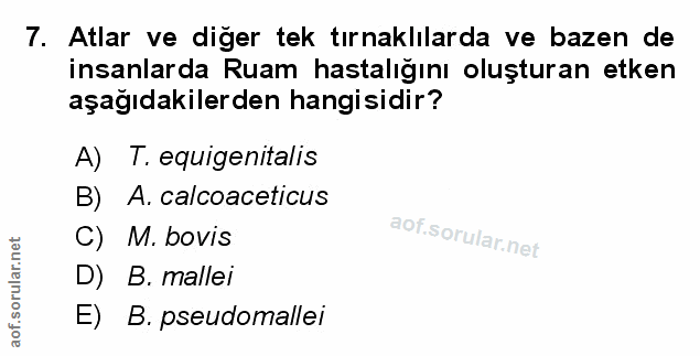Soru 7