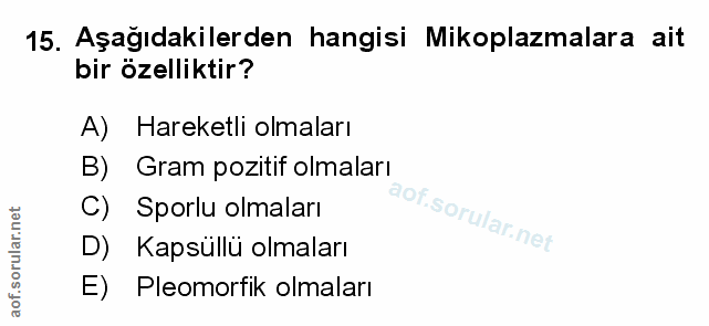 Soru 15