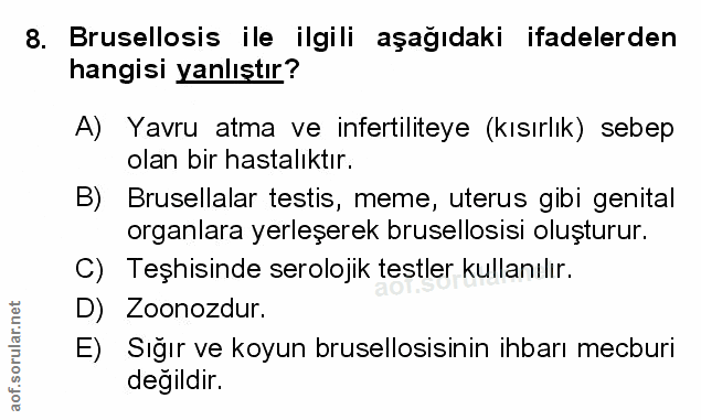 Soru 8