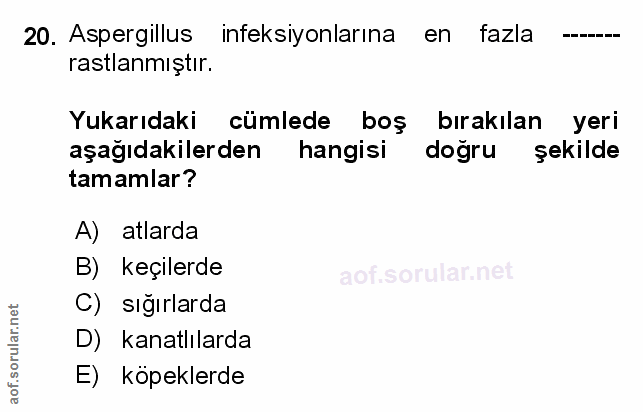 Soru 20