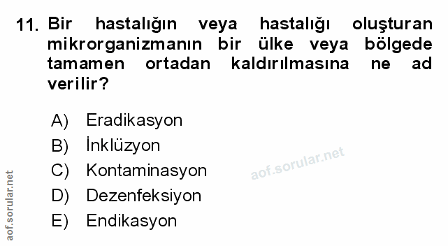 Soru 11