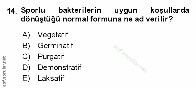 Soru 14
