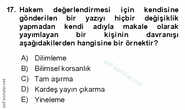 Soru 17