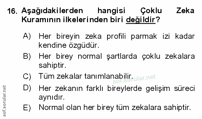 Soru 16