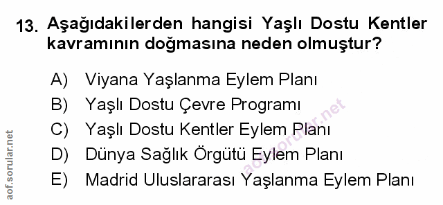 Soru 13