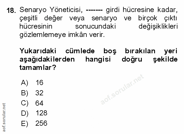 Soru 18