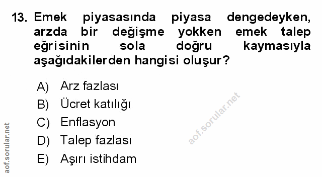 Soru 13