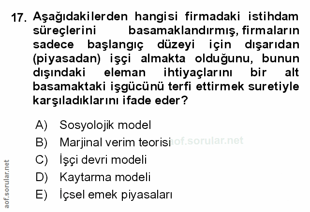 Soru 17