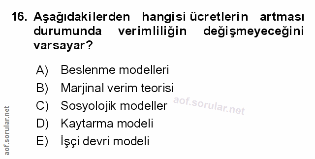 Soru 16