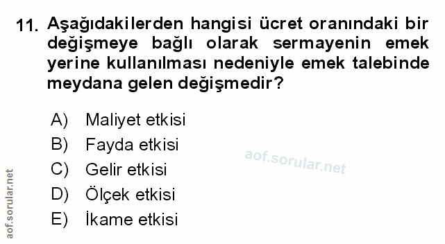 Soru 11