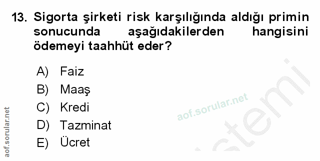 Soru 13