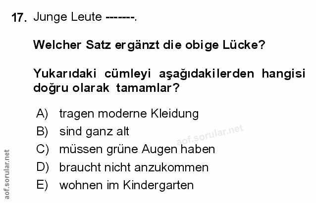 Soru 17
