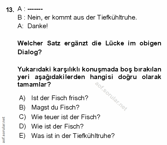 Soru 13