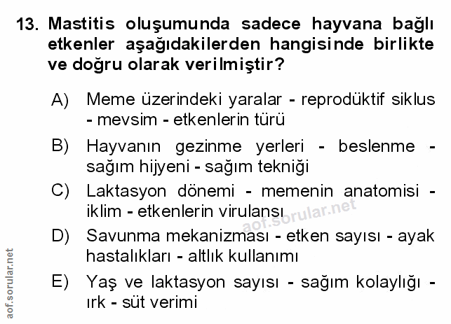 Soru 13