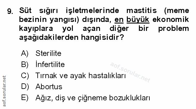 Soru 9