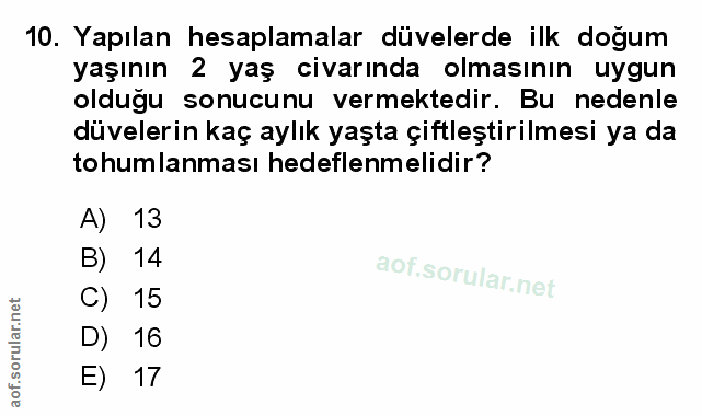 Soru 10