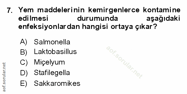Soru 7