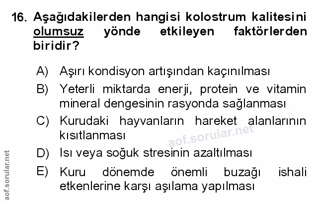 Soru 16